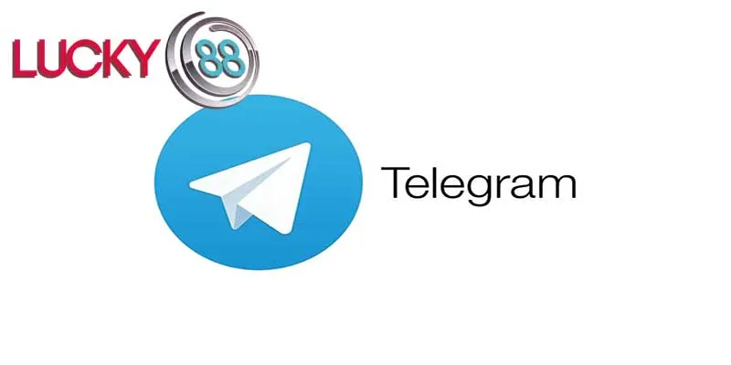 Telegram là kênh liên hệ được rất nhiều người áp dụng Telegram là kênh liên hệ được rất nhiều người áp dụng